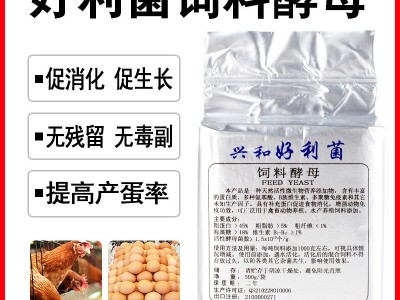 【生物饲料热卖】好利菌500g天然活性饲料酵母 家禽动物水产养殖图3