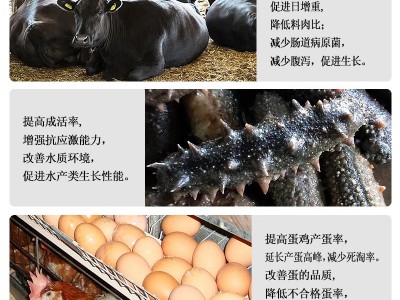 【生物饲料热卖】好利菌500g天然活性饲料酵母 家禽动物水产养殖图4