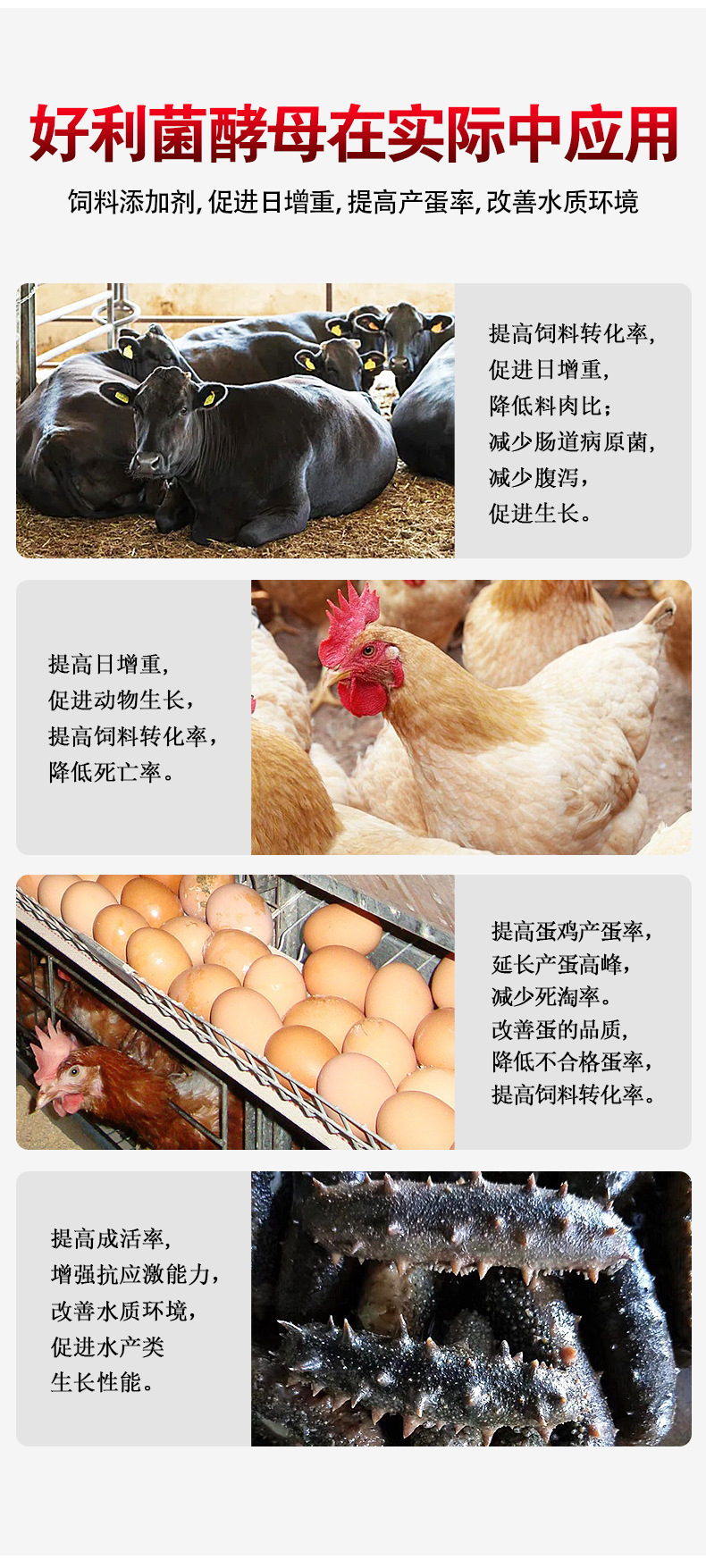 生物饲料详情页_09.jpg