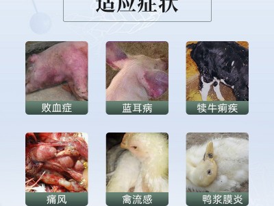 世农兽药卡巴匹林钙50%可溶性粉阿司匹林解热镇痛猪鸡鸭鹅用厂家图3
