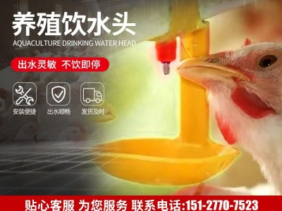 厂家供应鸡用饮水器 雏鸡用饮水钢柱式饮水器 加厚款鸡用饮水器图2