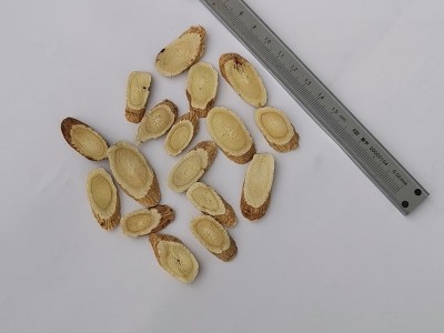 甘肃武都新货黄芪片 无硫斜片 圆片 黄芪产地大货直发黄芪中药材图4