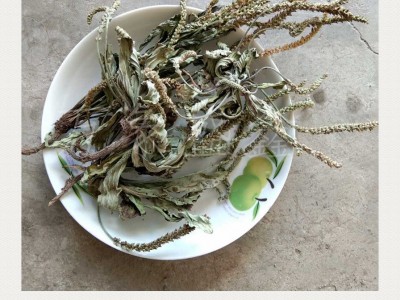 车前草 秦巴山区野外生长 产地一手货源 泡水 炒茶 人工挑选图3