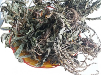 车前草 秦巴山区野外生长 产地一手货源 泡水 炒茶 人工挑选图5