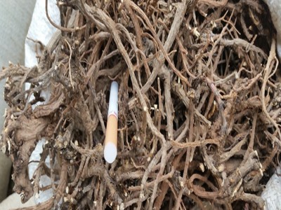 柴胡 秦巴山区野外生长 加工北柴胡 芦头0.5公分左右 产地批发图4