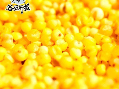 小米杂粮片营养速食小米粥杂粮片与米同熟物理压扁工艺小米杂粮片图3
