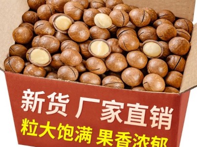 夏威夷果500g坚果干奶油味散装果仁夏果年货干果休闲零食坚果批发图4