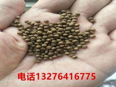 黑鱼饲料 乌鱼饲料 生鱼饲料 黑鱼用饲料量大从优图2