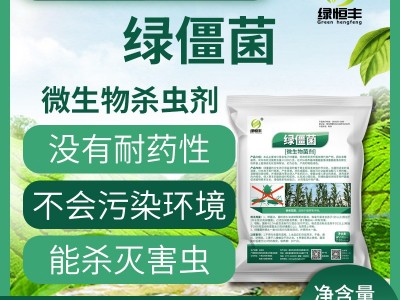 绿僵菌有机微生物杀虫剂蛴螬地老虎蝼蛄金龟子臭虫蝗虫菜青虫图3
