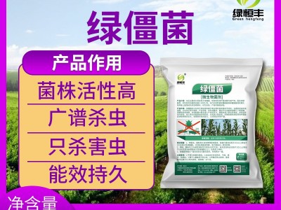 绿僵菌有机微生物杀虫剂蛴螬地老虎蝼蛄金龟子臭虫蝗虫菜青虫图4