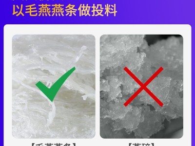 东南燕都溯源即食燕窝代工鲜泡鲜炖燕窝溯源码即饮燕窝厂家批发图4