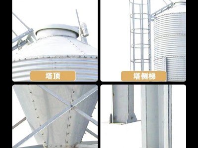 饲料料塔料塔养猪 自动化上料 养殖场大容量料仓图2