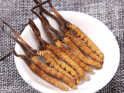 冬虫夏草批发青藏虫草西藏冬虫夏草产地直供虫草茶分销外贸图2