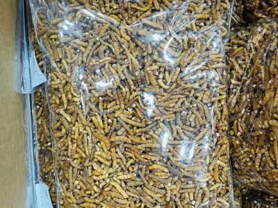 西藏那曲 冬虫夏草 冻干虫草直供高海拔 虫草 足干断草 批发图5