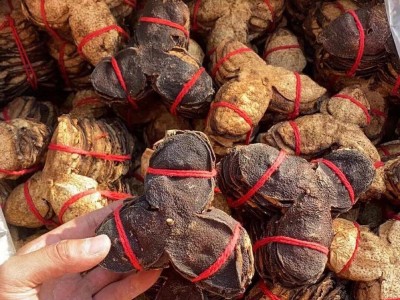 批发散装广东陈皮 扎把老陈皮500g 陈皮茶 橘子皮 陈皮丝量大从优图2