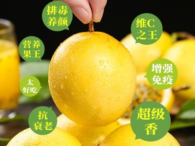 黄金百香果种子满天星百香果春四季阳台盆栽黄金鸡蛋果种籽蔬菜孑图3
