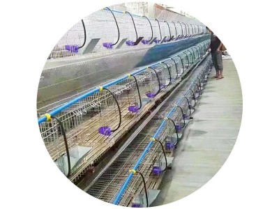 免清粪阶梯兔笼济南厂家 三层九窝种兔免清粪阶梯笼 镀锌阶梯兔笼图5