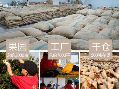 艺雅堂新会单瓣老陈皮干 5年10年20年30年断皮碎片橘皮广陈皮泡茶图4