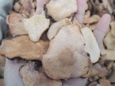 土茯苓粉质 中药材 土茯苓切片 实图拍摄 一手货源 量大价优图4