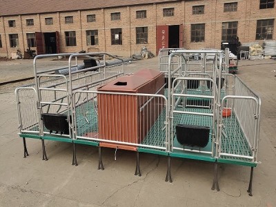 养猪设备猪用产床 复合板母猪分娩床 热镀锌产保两用一体母猪产床图3