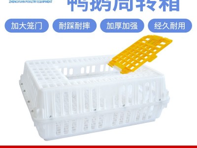 批发 鸡运输笼 鸡用周转箱 运输鸡笼 鸡鸭鸽兔周转箱运输笼 鸡框图5