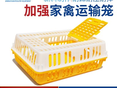 批发 鸡运输笼 鸡用周转箱 运输鸡笼 鸡鸭鸽兔周转箱运输笼 鸡框图2