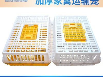 批发 鸡运输笼 鸡用周转箱 运输鸡笼 鸡鸭鸽兔周转箱运输笼 鸡框图3