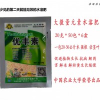 水溶肥 大量元素 全能型水溶肥 瓜果蔬 中国农业大学出品 20g