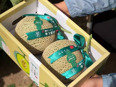 牛3蜜瓜哈密瓜网纹瓜甜瓜 牛3蜜瓜礼盒装图4