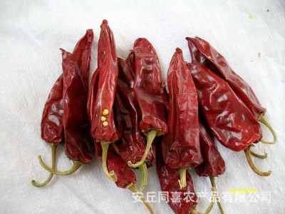 大量供应出口级辣椒干（国内所有品种）2013年新货图5