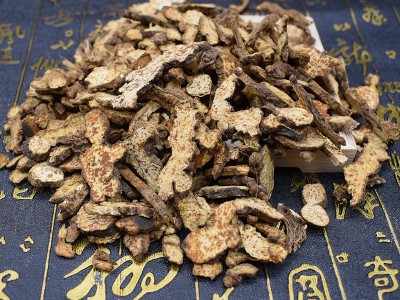 中药材批发1000克内蒙古苍术片 无熏炒苍术片 产地一手货源代磨粉图4
