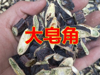 中药材皂角片大皂角 皂角粉皂角洗头粉皂角洗发图2