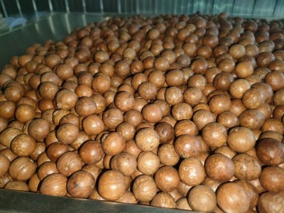 雄木果脑（奶油味）图4