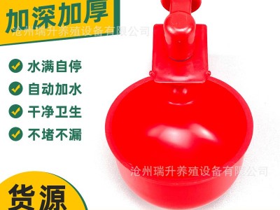 鸡用自动饮水器鸡鸭鸽子饮水碗喝水碗雏鸡鸟饮水器鹌鹑家禽饮水器图2