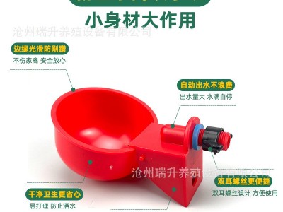 鸡用自动饮水器鸡鸭鸽子饮水碗喝水碗雏鸡鸟饮水器鹌鹑家禽饮水器图3