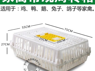 塑料鸡笼周转箱运输笼筐鸡鸭鹅兔鸽子周转运输笼特大鸡用运输筐框图2