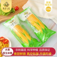 粗粮东北水果玉米棒220g*6真空即食甜玉米棒金色玉米
