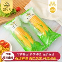 粗粮东北水果玉米棒220g*6真空即食甜玉米棒金色玉米