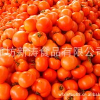 保鲜西红柿出口潍坊新涛食品（资质工厂、常年加工）