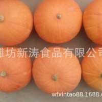 保鲜南瓜出口台湾潍坊新涛食品（基地种植、厂家直供）