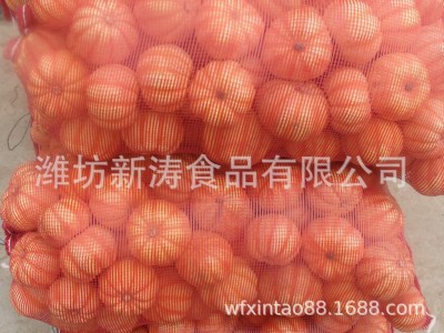 保鲜南瓜出口台湾潍坊新涛食品（基地种植、厂家直供）图3