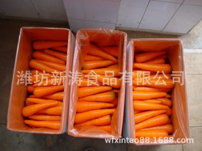 保鲜胡萝卜（基地种植、厂家直供）图5