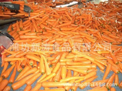 保鲜胡萝卜（基地种植、厂家直供）图4