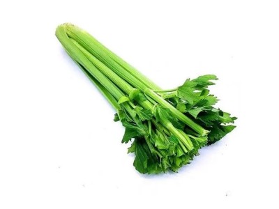 现货供应鲍芹 章丘新鲜鲍芹新鲜采摘炒菜食用 无丝无渣脆嫩无渣图5