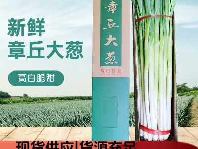 优惠章丘大葱 章丘特产大梧桐女郎山大葱 葱白 煎饼卷大葱礼盒版图2