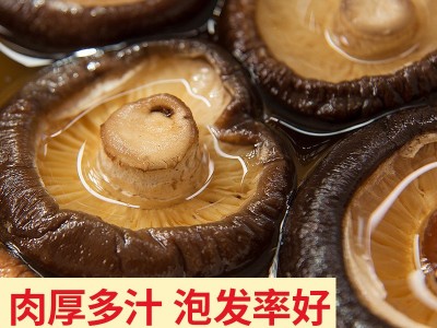 秦岭香菇干货冬菇花菇菌菇肉厚餐厅厨房食用菌散装批发3-4cm批发图3
