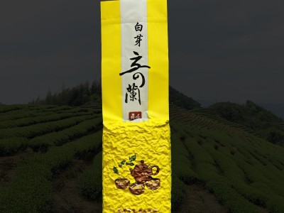 平和特产白芽奇兰福建乌龙茶白芽奇兰茶散茶袋装批发图4