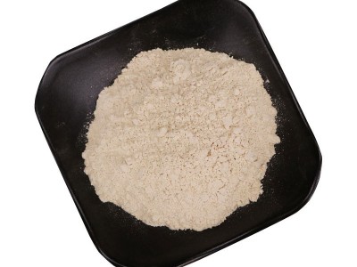 黄芪粉批发黄芪细粉甘肃黄芪粉中药材原料现磨黄芪粉农产品图5