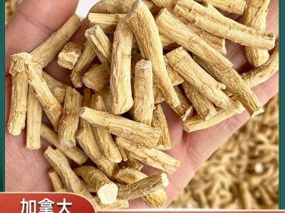 批发加拿大西洋参 粗粒小节软质花旗参段参尾可磨粉 西洋参丁参腿图2