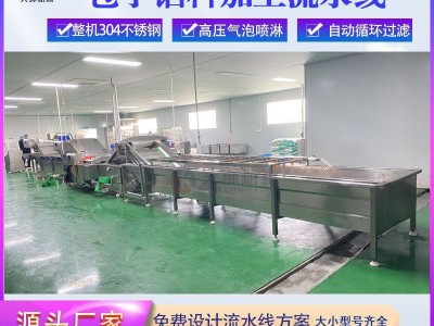 全自动净菜气泡清洗机 小青菜清洗杀青流水线 包子水饺馅加工设备图3